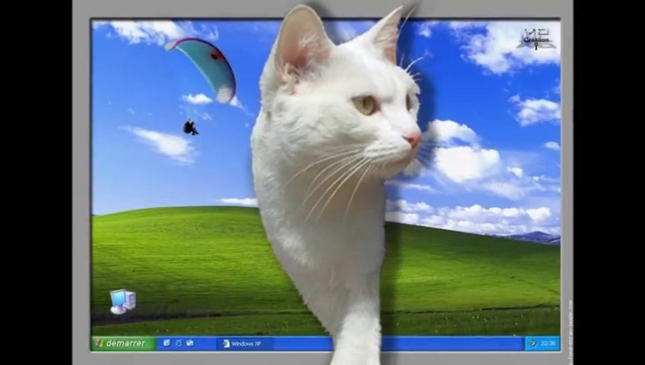 "Ah ces chats ! " *Odette*