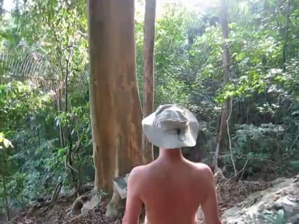 Les insectes à la pointe sud de Ko Lanta