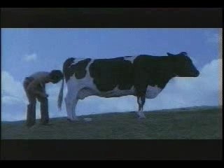 Ftour Sbe7: 7lib Min Bagrtou 🥙