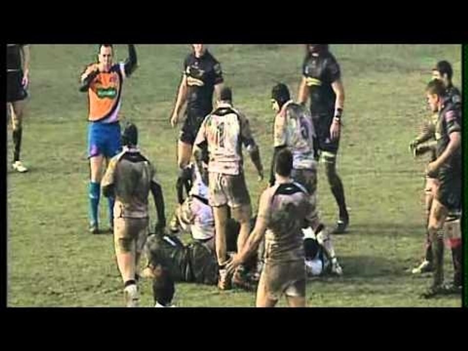Zebre v Newport