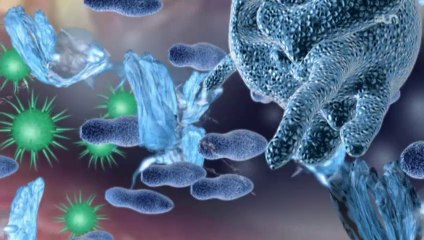 Microbiote : Ces bactéries qui nous gouvernent