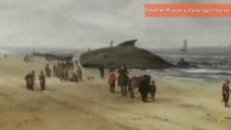 Hidden Whale Revealed in Nearly 400-Year-Old Dutch Painting
