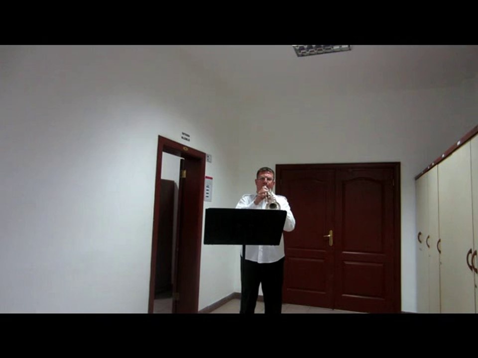 G.MAHLER SYMPHONY NO 5