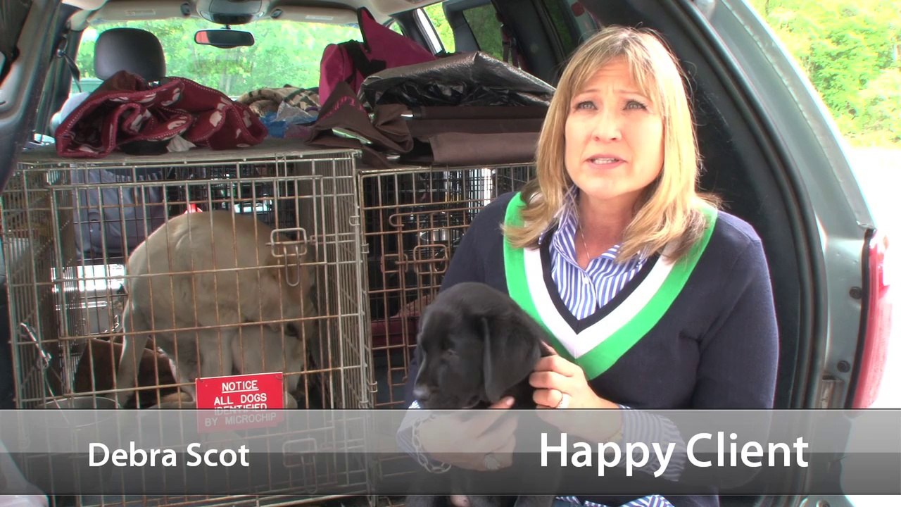 Welcome to Big River Veterinary Services