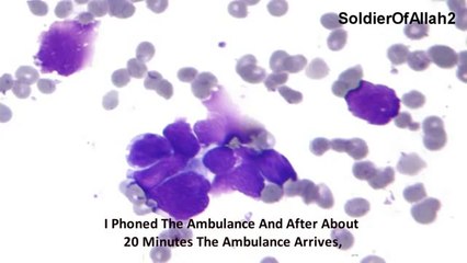 Must Listen You Will Die The Way U live....Islam By Muhammad Abdul Jabbar [Powerful Speech] 2012