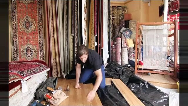 Afghan Hound - Feature