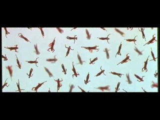 Tomorrow Never Dies Review: James Bond's Action-Packed Adventure 🎬