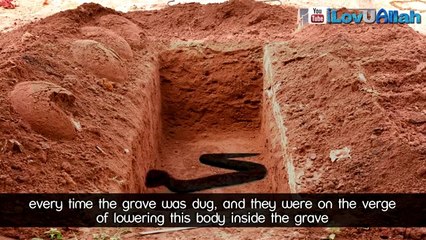 Snake In The Grave ᴴᴰ - -True Story-