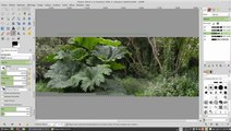 Gimp - création d'une image panoramique