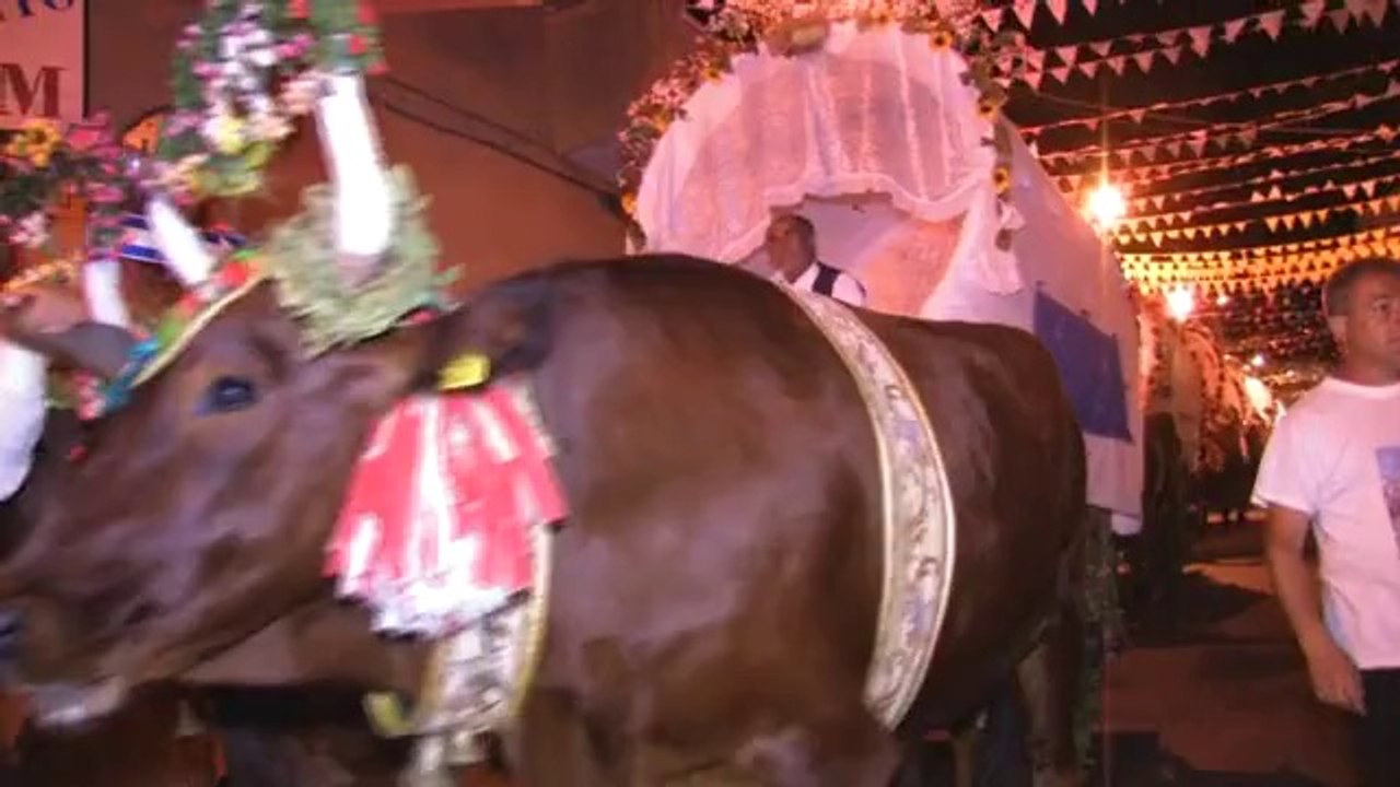 Video sagra S.Antonio di Santadi parte 2