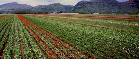 Pendu (Full Video) Amrinder Gill feat. Fateh - Judaa 2- Latest Punjabi Song 2014 HD