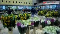 TG 06.06.14 Il mercato dei fiori di Terlizzi tra le eccellenze di Puglia