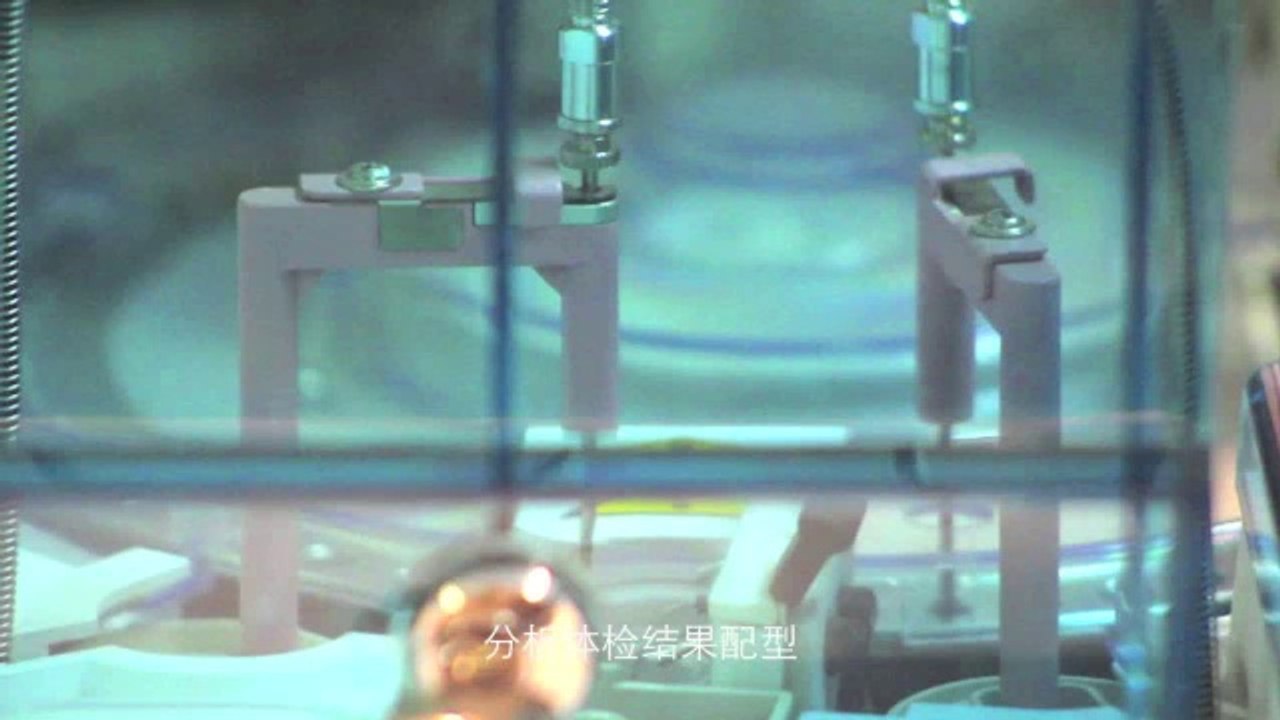 瑞士拉凯尔