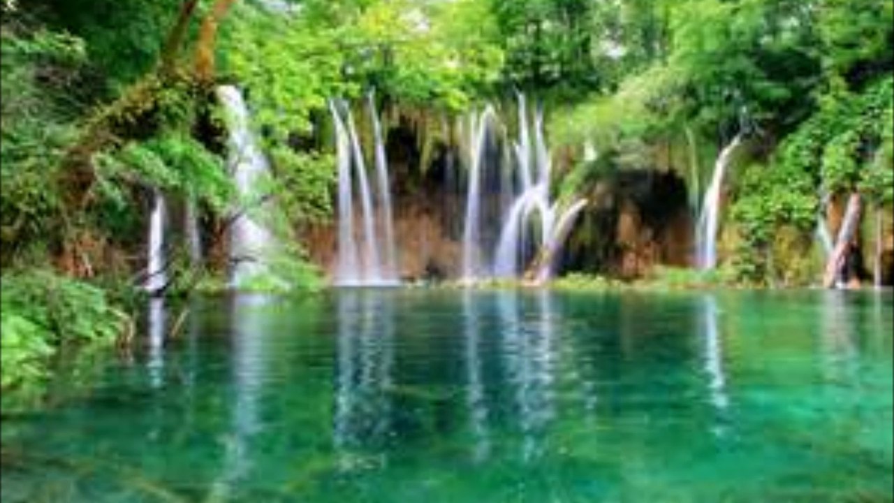 cascades et papillons