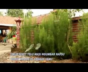 LECET MANING sri avista @ lagu tarling