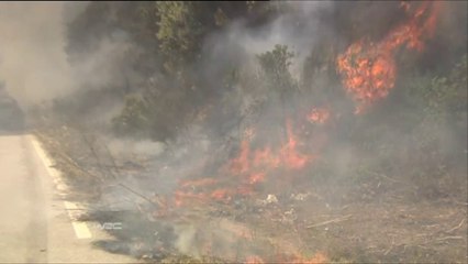 Sports Mécaniques - Le mystérieux incendie de la Ford d'Hirvonen