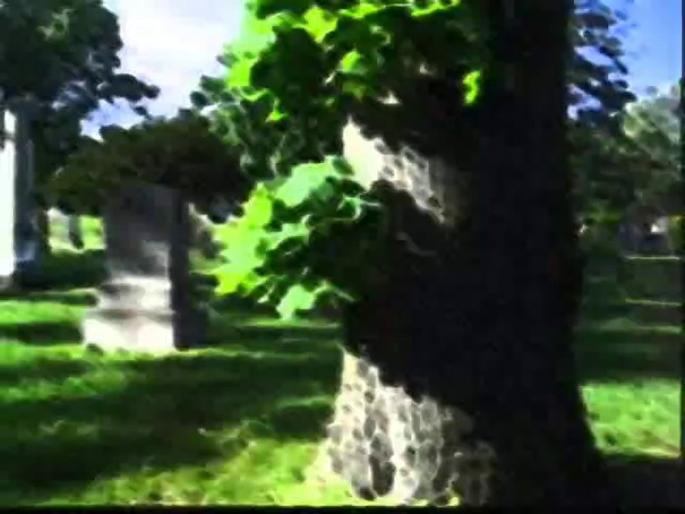 California Dreamin' (Cover Song) by Billy J Bryan & The Ax Grinders / video by Robert Segarra