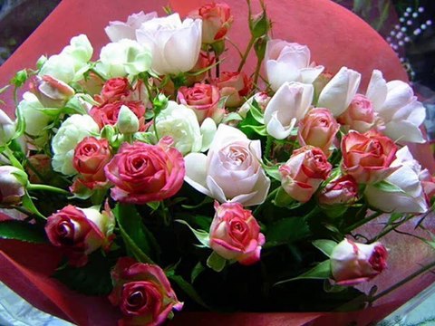 Feliz Cumpleaños by Rosa Viragh Lima