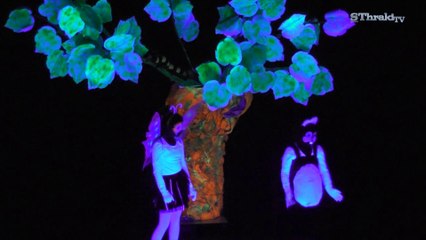 Η ΙΣΤΟΡΙΑ ΕΝΟΣ ΜΕΤΑΞΟΣΚΩΛΗΚΑ ΜΕΡΟΣ 1ο