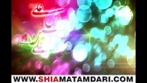 Hai Mera Naam Ali Asghar as Mir Hassan Mir Manqabat 2014 ShiaMatamdari