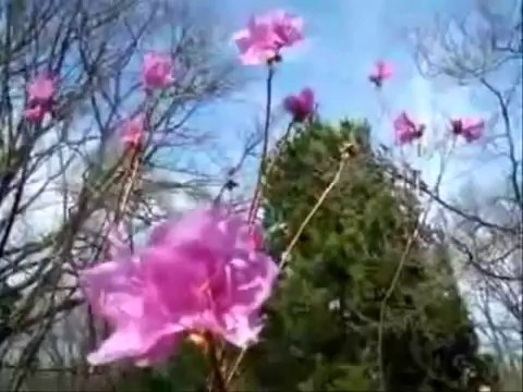 Dr. Nashenas 'Mehdi Hassan's Ghazal'