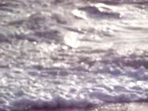 C:\Documents and Settings\sophie\Mes documents\Mes images\Photos\Photos 2006\St Clair Janvier 2006\St Clair Janvier 2006 105