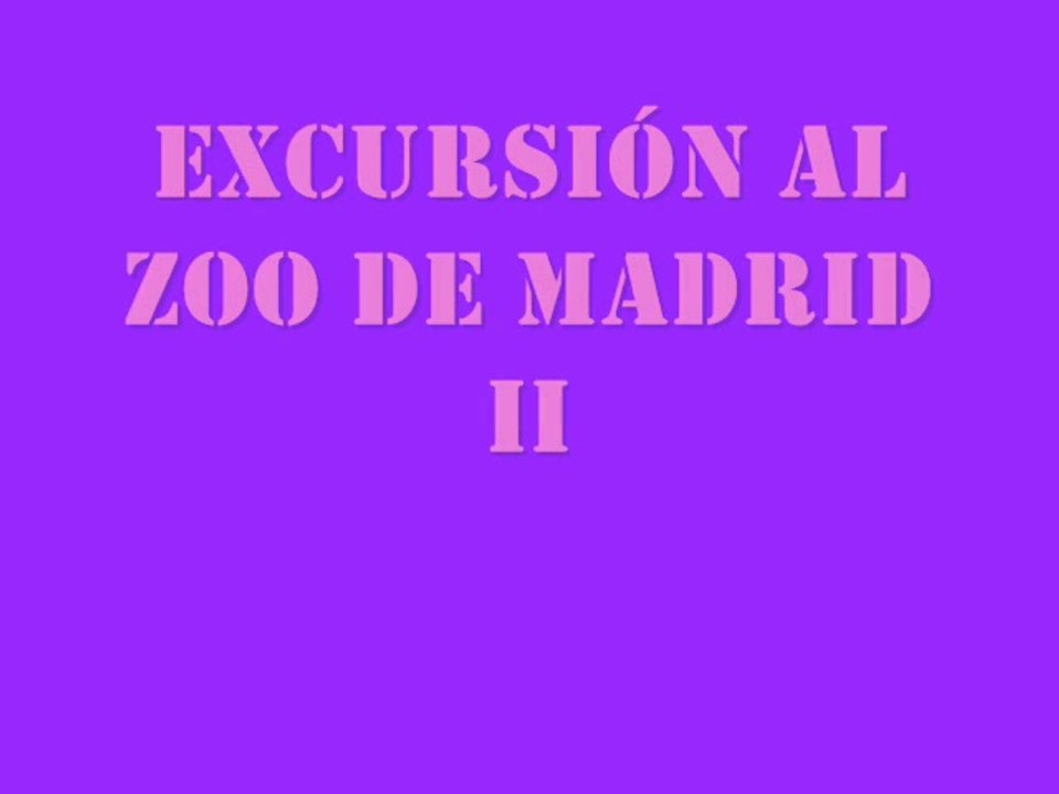 ZOO II