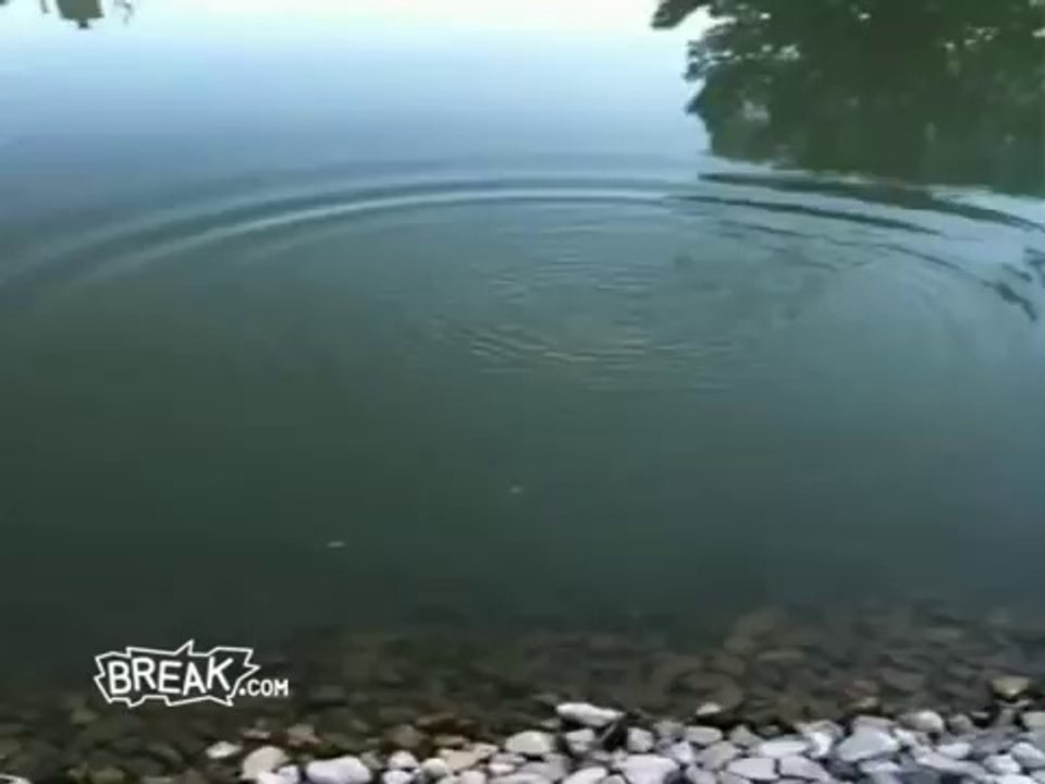 Fishing with Dynamite
