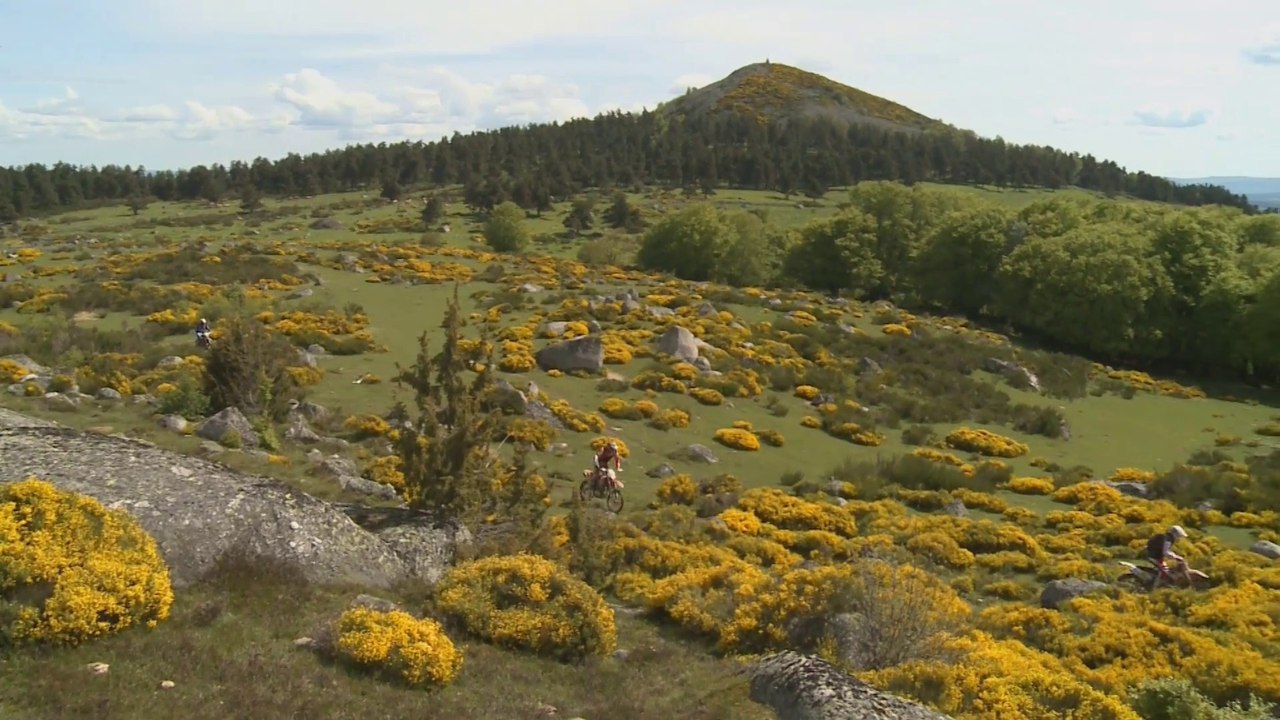 Trèfle Lozérien AMV 2014 - Vidéo Officielle 26 mn