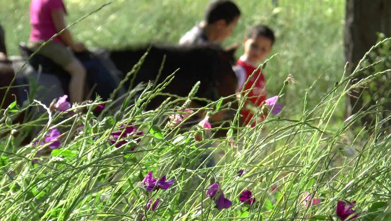 Le Parc du Vallon en images