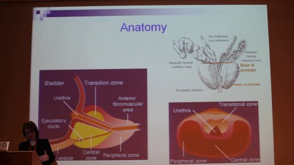 Basics Of Prostate MRI - Orith Portnoy - Monday 27th January - Part 1