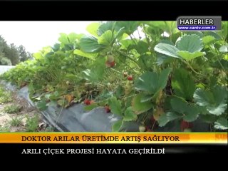 09.06.2014.CAN TV24 HABER