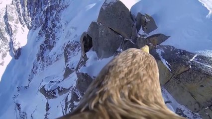 Kartal gözünden Alpler