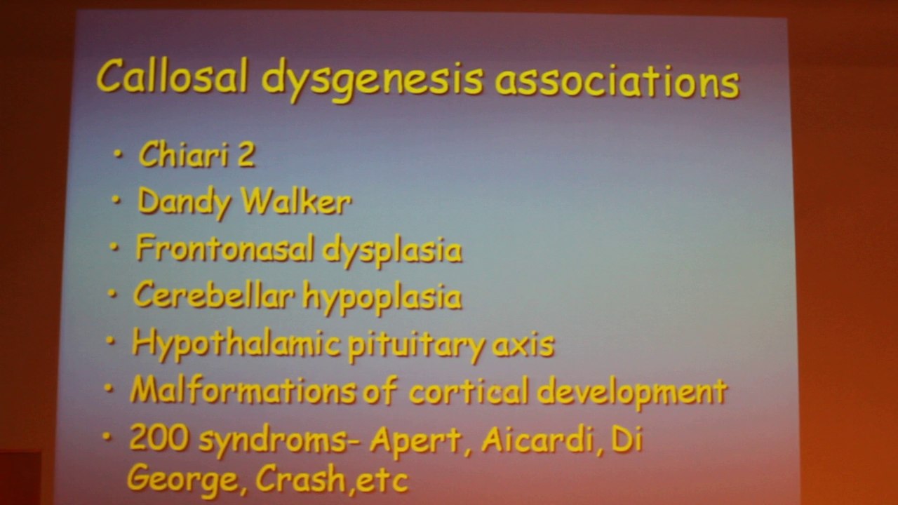 CNS Malformations - Osnat Konen - Tuesday 28th January - Part 2