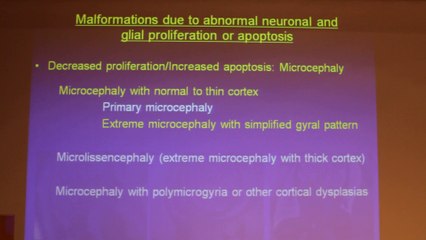 Prenatal MRI In The Diagnosis Of Malformations Of Cortical Development - Liat Ben Sira - Tuesday 28th January - Part 1