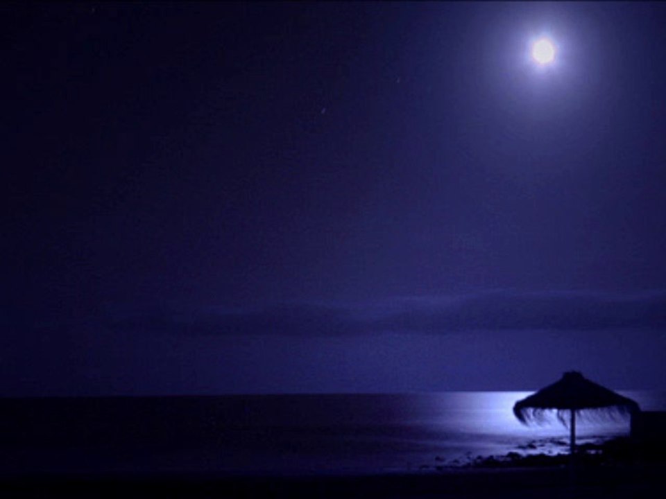 Midnight Blues by The Electric Trunk