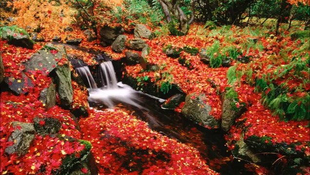 Ahmed Addou : DILEMME - Oujda/Maroc