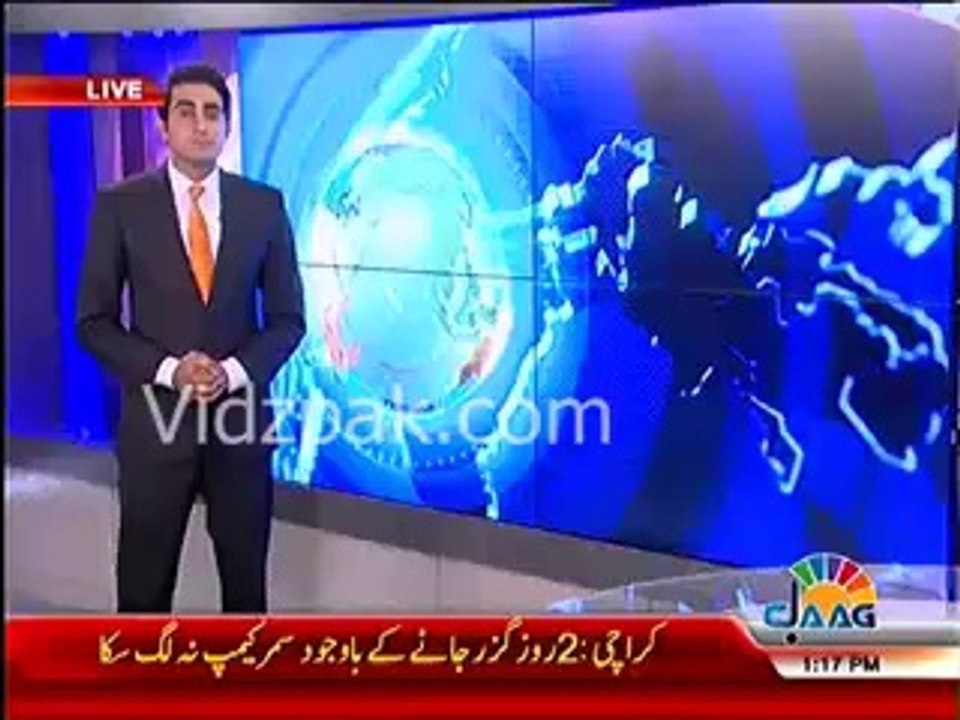 Dogs doing swimming in Kids Swimming pool in Karachi Sprots Complex