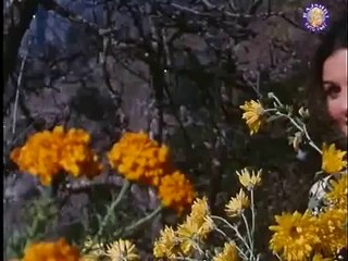 Kora Kagaz Tha-Imran Mobile 03004906565