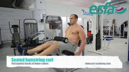 ESFA Gym Ball Seated hamstring curl (HD)