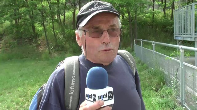 Hautes-Alpes : Transhumance des moutons à l'Argentière-la-Bessée