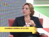 Internacionalista: Es preocupante que la OEA discuta sobre el diálogo en Venezuela