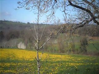 rallyes terre des causses 2014 mathieu margaillan