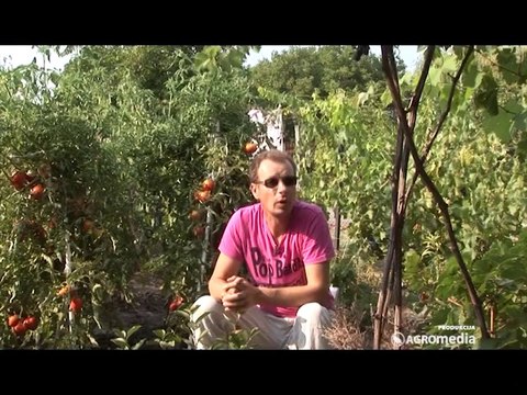 SVET POLJOPRIVREDE _351_ 07.06.2014.