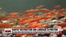New study shows direct link between habitat destruction and language extinction Guardian