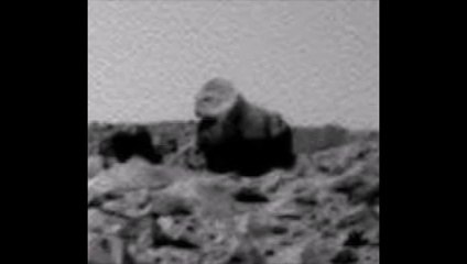 Un gorille fossilisé photographié sur la planète Mars ?