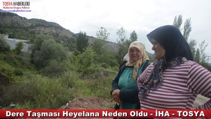 TOSYA'DA DERE TAŞMASI SONUCU HEYELAN OLDU