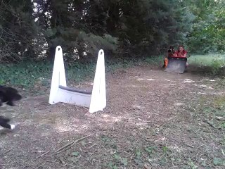 Lilou découvre le FlyBall