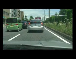 脱原発反原発の、反日活動の弱者ビジネスに乗せられた日本政府の被害者は誰か・_140608_草莽愛知