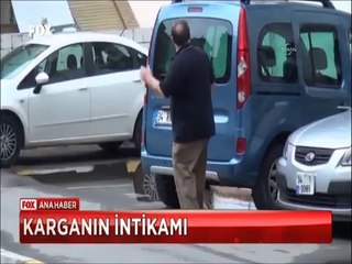 Yavrusunu kaybeden Karga mahallede terör estiriyor